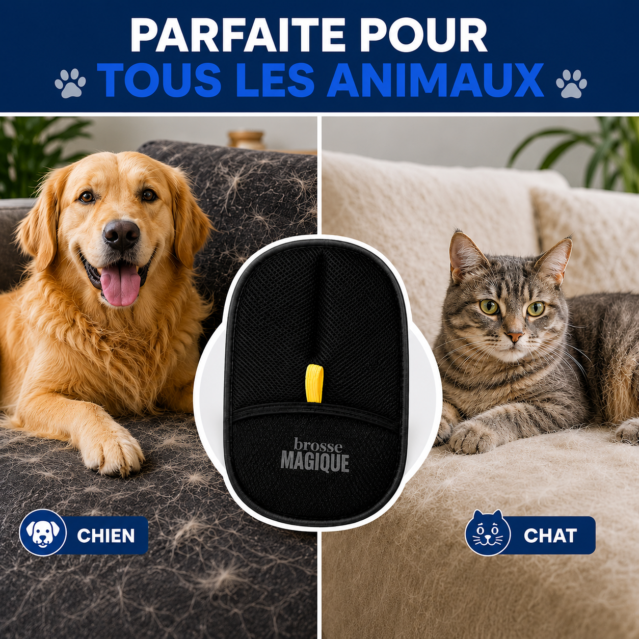 Brosse Magique Vantyx