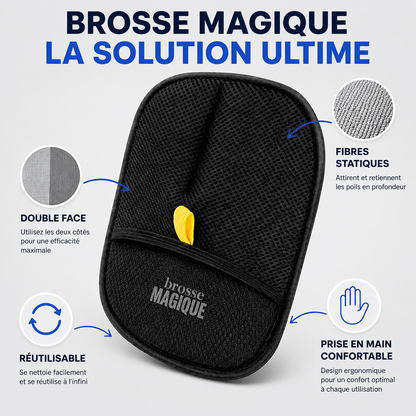 Brosse Magique Vantyx