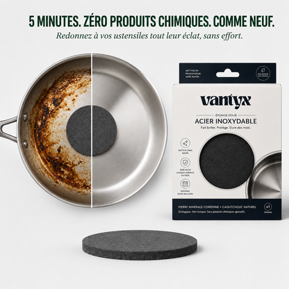 Éponge pour Acier Inoxydable Vantyx