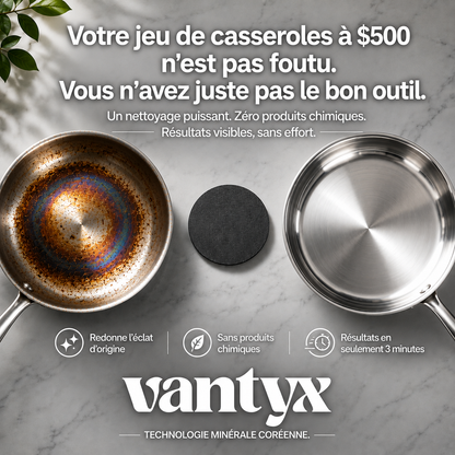 Éponge pour Acier Inoxydable Vantyx