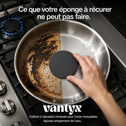 Éponge pour Acier Inoxydable Vantyx