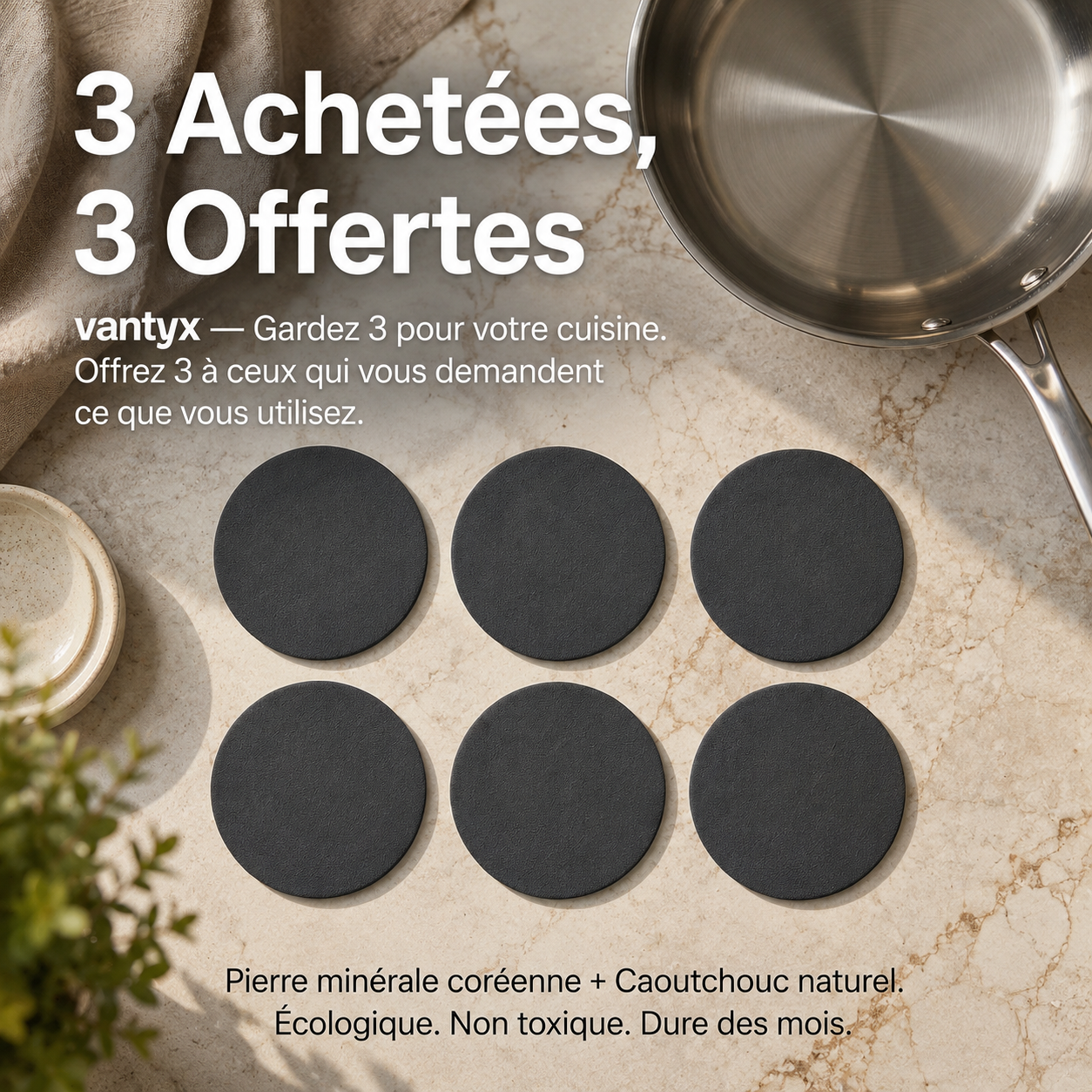 Éponge pour Acier Inoxydable Vantyx